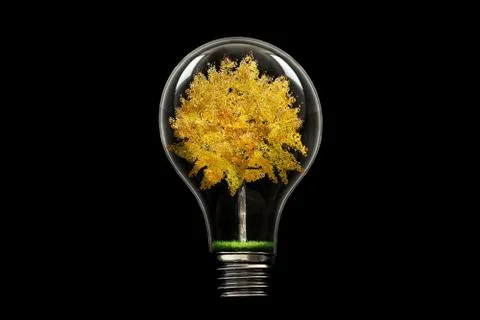 Tree in Lamp Stock Photos