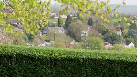 Tree landscape 2 스톡 동영상 136960457