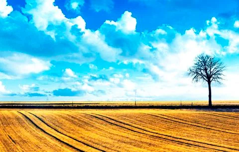 Tree landscape abstract Stock Photos