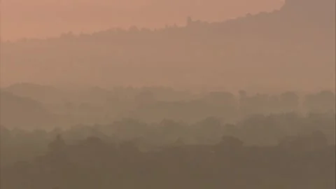 Tree Landscape in Morning Mist Stock Footage 313655546