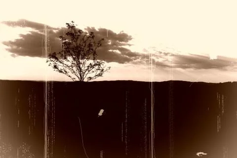 Tree landscape Foto stock