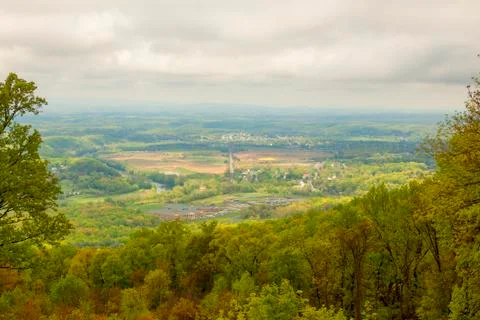 Tree landscape Stock Photos