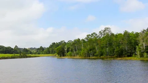Tree landscape with reflections in the water and white cloud motion,Time laps Stock Footage 220591776