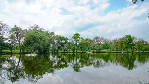 Tree landscape with reflections in the water and white cloud motion,Time laps Stock Footage 241209635