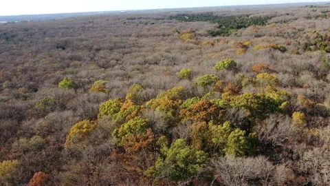 Tree landscapes Stock Footage 143983205
