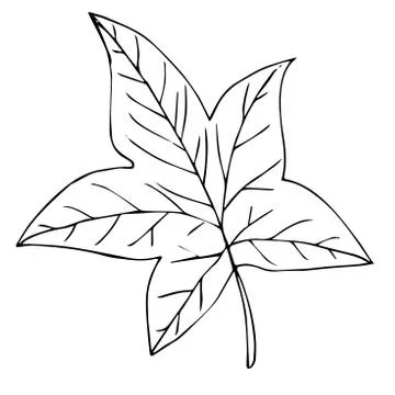 Tree leaf black line isolated sketch Stock Illustration