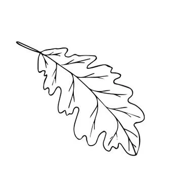 Tree leaf black line isolated sketch Stock Illustration