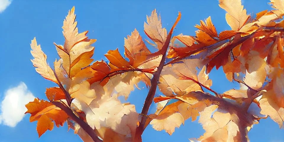 Tree leaf close up in autumn. Maple leaves on the background of a beautiful sky. Stock Illustration