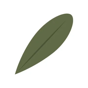 Tree leaf colored icon Vector Stock Illustration