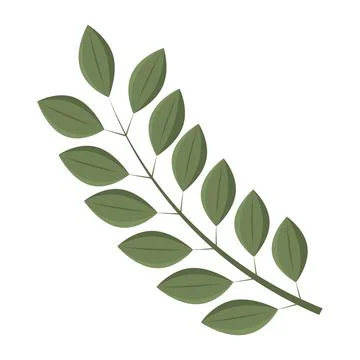 Tree leaf colored icon Vector Stock Illustration