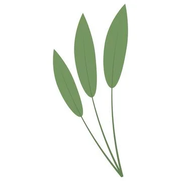 Tree leaf colored icon Vector Stock Illustration