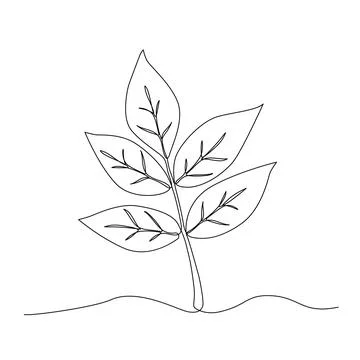 A tree leaf drawn with a continuous line. Vector illustration of a hand-dra.. Illustrazione stock