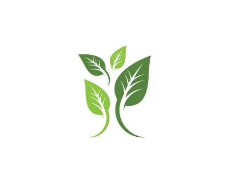 Tree leaf ecology nature vector icon Illustrazione stock