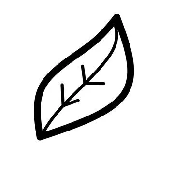 Tree leaf icon. Draw the contour of the leaf. Black image of plant, suitable for Stock Illustration