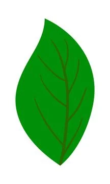 Tree Leaf Stock Illustration