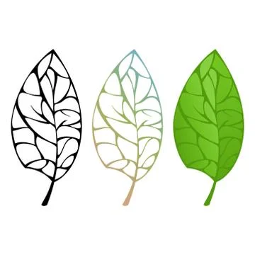 Tree Leaf Isolated 스톡 일러스트