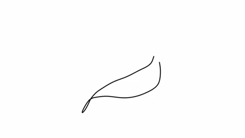 Tree Leaf One Line Drawing, Branch Animation Stock Footage 259414566