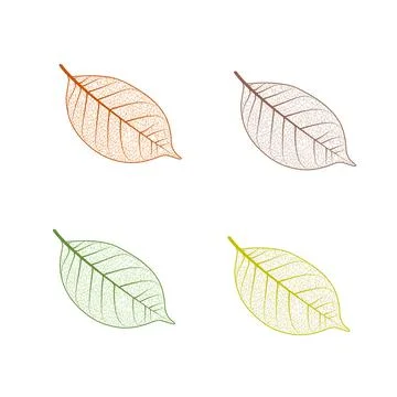 Tree leaf set. Autumn leaves isolated vector illustration on white background Stock Illustration