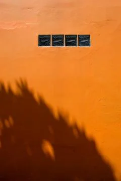 Tree leaf shadows on a bright orange wall Stock Photos