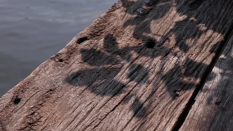 Tree leaf shadows on the edge of weathered wooden plank pier Stock Footage 127700846