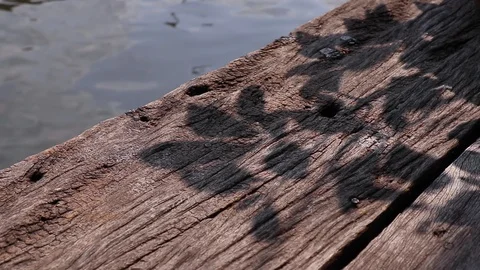 Tree leaf shadows on the edge of weathered wooden plank pier Stock Footage 127701413