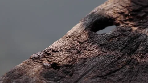 Tree leaf shadows on the edge of weathered wooden plank pier Stock Footage 163015198