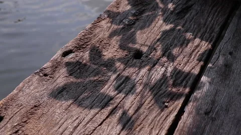 Tree leaf shadows on the edge of weathered wooden plank pier Stock Footage 163046977