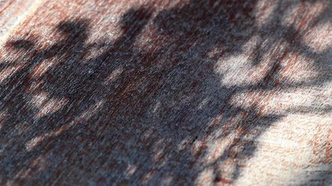 Tree leaf shadows on old weathered wood surface Stock Footage 128412782