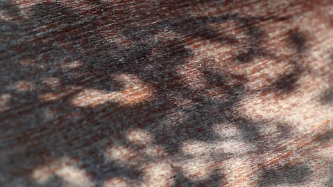 Tree leaf shadows on old weathered wood surface Stock Footage 128413740