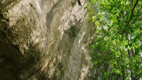 Tree leaf shadows play across cliff, moving gently in breeze. Green leaves Stock Footage 273973034
