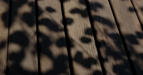 Tree Leaf Shadows on Wooden Deck Stock Footage 64767510