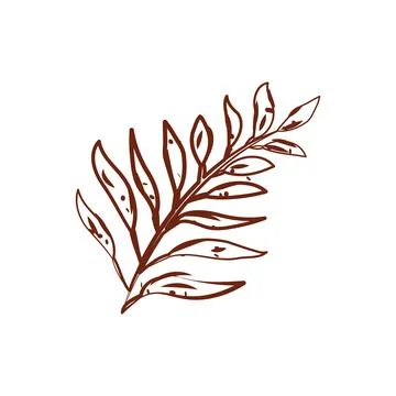 Tree leaf sketch icon Vector Stock Illustration