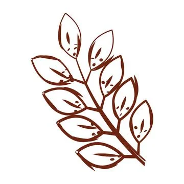 Tree leaf sketch icon Vector Stock Illustration