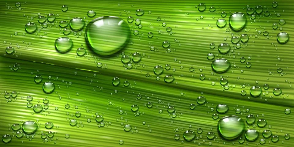 Tree leaf texture with water drops, green plant Stock Illustration