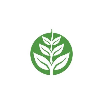 Tree leaf vector and green logo design friendly concept Stock Illustration