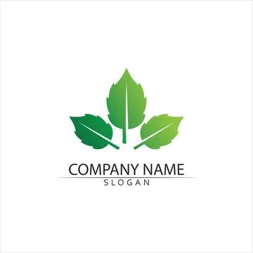 Tree leaf vector and green logo design friendly concept 스톡 일러스트