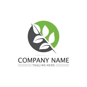 Tree leaf vector and green logo design friendly concept Stock Illustration