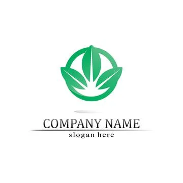 Tree leaf vector and green logo design friendly concept Illustrazione stock