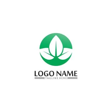 Tree leaf vector and green logo design friendly concept Stock Illustration