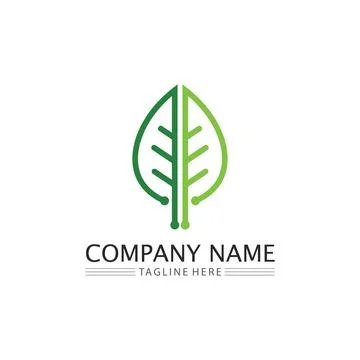 Tree leaf vector and green logo design friendly concept Illustrazione stock