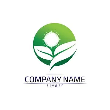 Tree leaf vector design eco friendly concept logo Stock Illustration