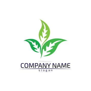 Tree leaf vector design eco friendly concept logo Illustrazione stock