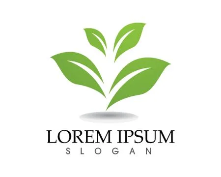 Tree leaf vector logo design, eco-friendly concept. Stock Illustration