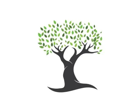 Tree leaf vector logo design, eco-friendly Stock Illustration
