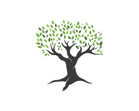 Tree leaf vector logo design, eco-friendly Stock Illustration