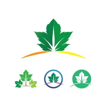 Tree leaf vector logo design, eco-friendly concept. Illustrazione stock