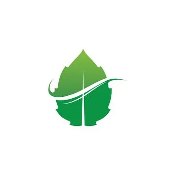 Tree leaf vector logo design, eco-friendly concept. Stock Illustration