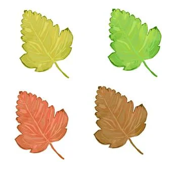 Tree leaf vector set Stock Illustration