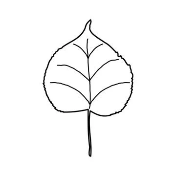 A tree leaf on white background. Vector illustration of a hand drawn plant. Illustrazione stock
