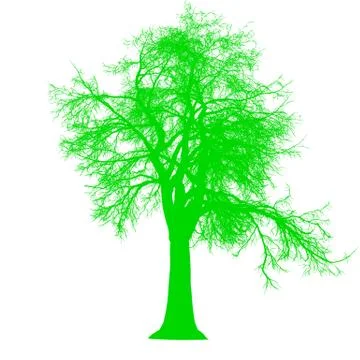 Tree leafless side view silhouette isolated - green - vector Stock Illustration